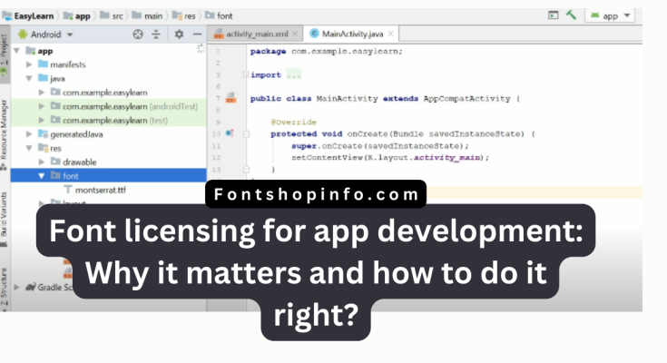 Font licensing for app development Fontshopinfo.com